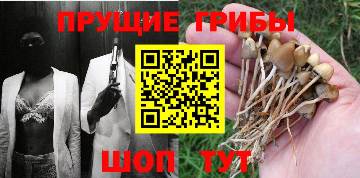Псилоцибиновые грибы Cubensis  Вход с VPN  Солнечногорск 